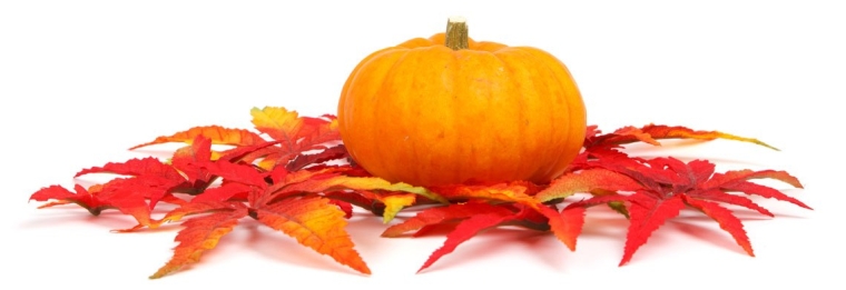 pumpkin-and-leaves-11286904406ZELq